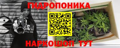 дживик Новозыбков