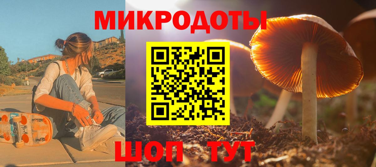 Скопин  Псилоцибиновые грибы мицелий  Вход с VPN  Галлюциногенные грибы Magic Shrooms 